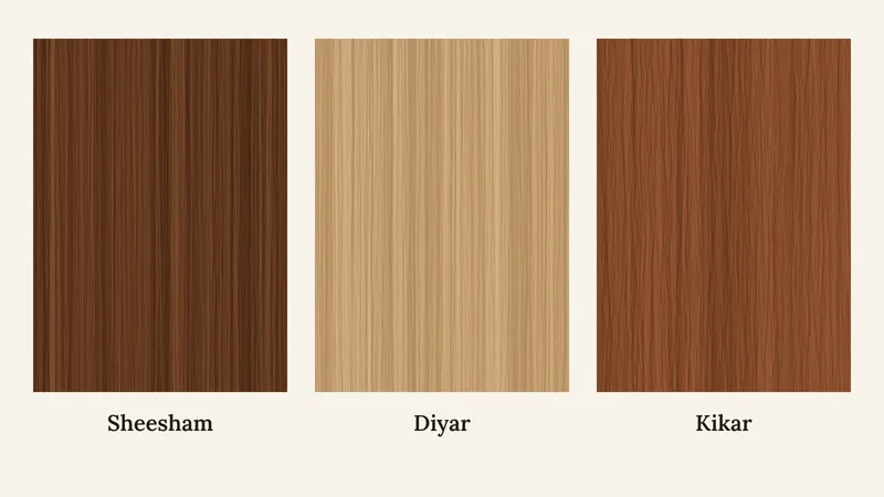 Illustration of typical sheesham, diyar and kikar wood colours